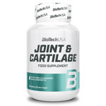 Joint & Cartilage : Complexe articulaire