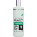 Shampoo Green Matcha : Shampoing au matcha Bio